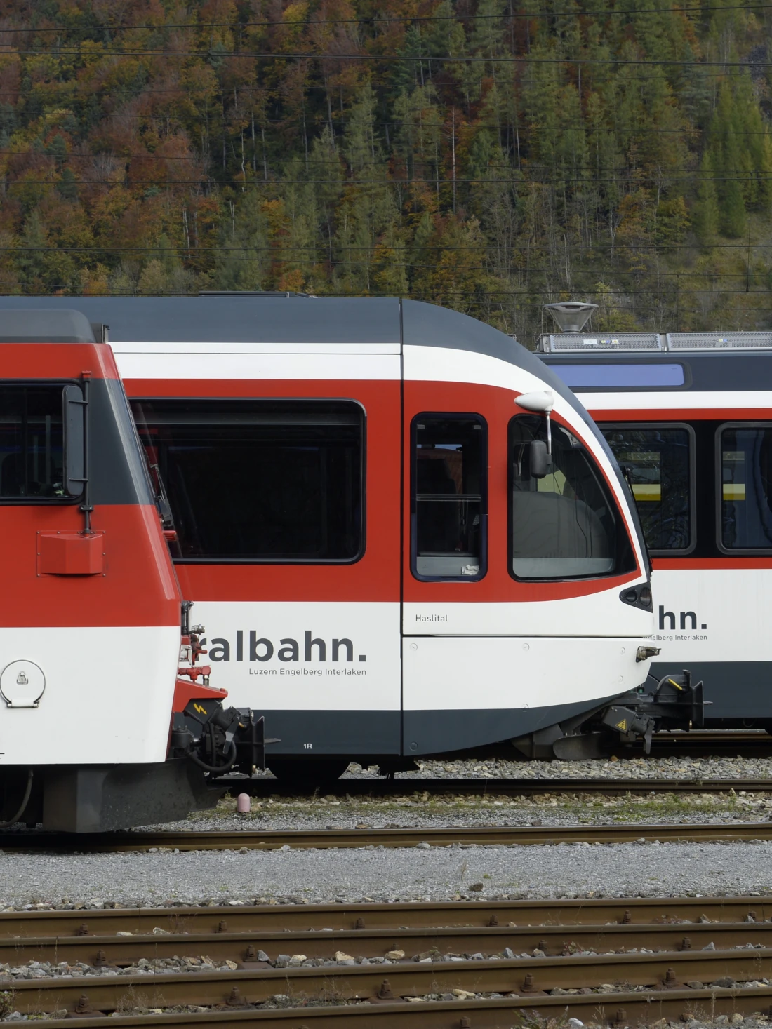 洋書 TEE-Zuege in der Schweiz / PeterGoette TEE-Züge in der Schweiz: sowie Schweizer TEE-Züge im Ausland